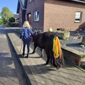 Kinder und Tiere – Das gehört einfach zusammen!