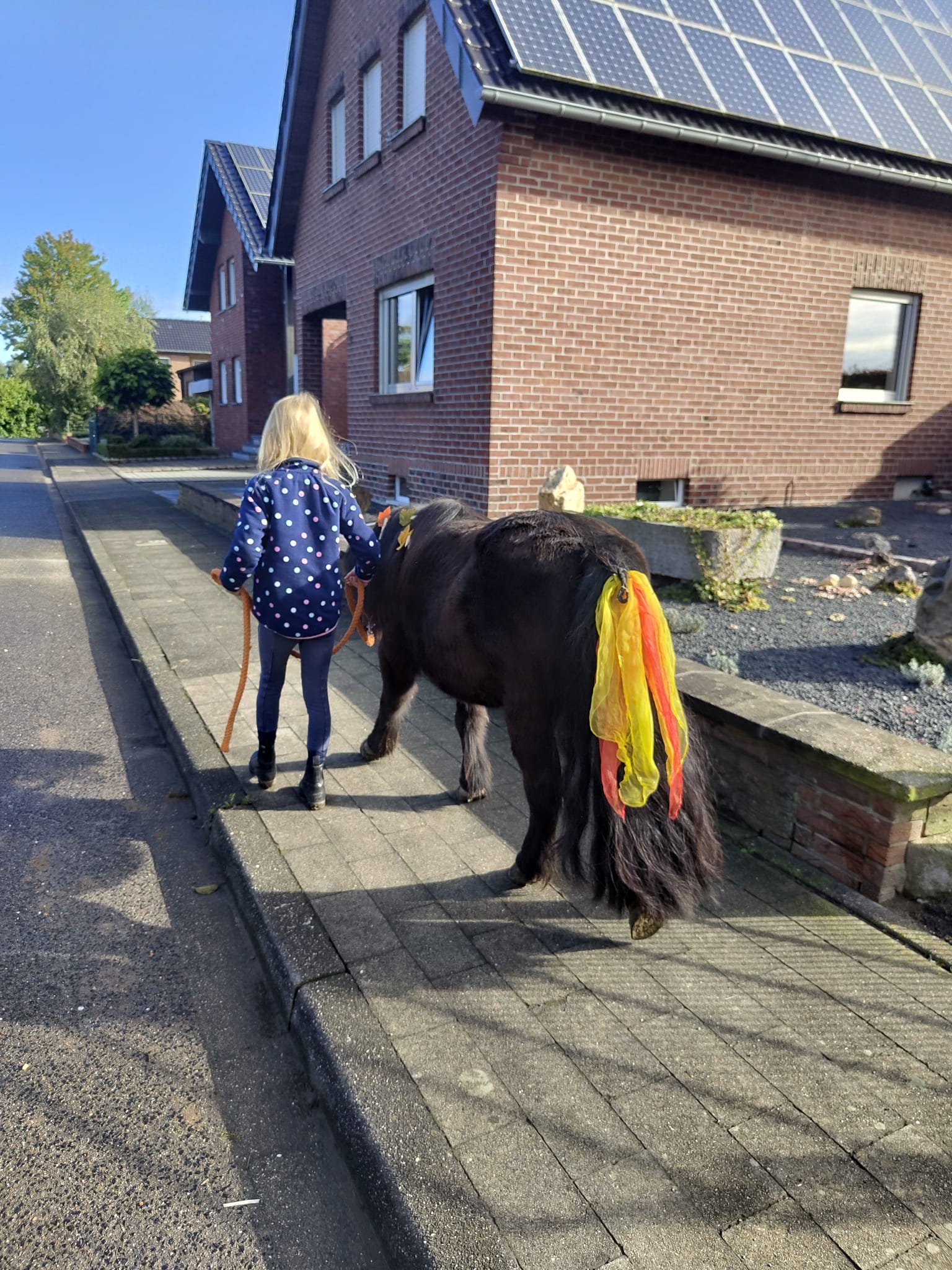 Kind mit Pony Reitpädagogik Heinsberg