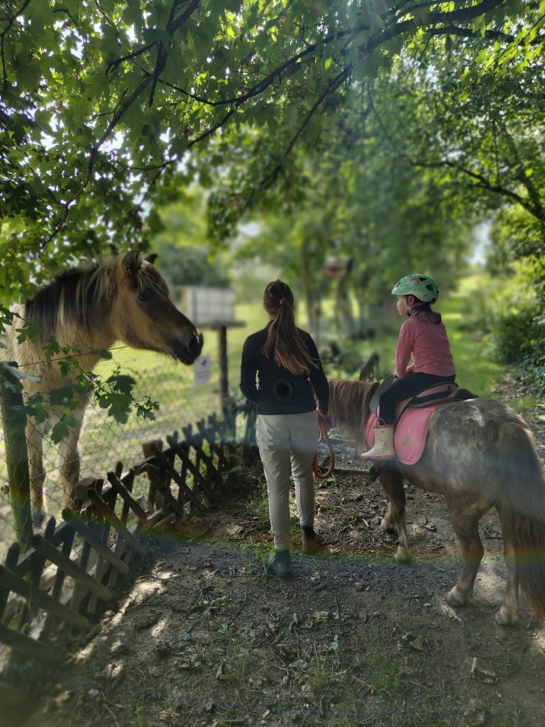 geführter Ausritt - Reitpädagogik Heinsberg