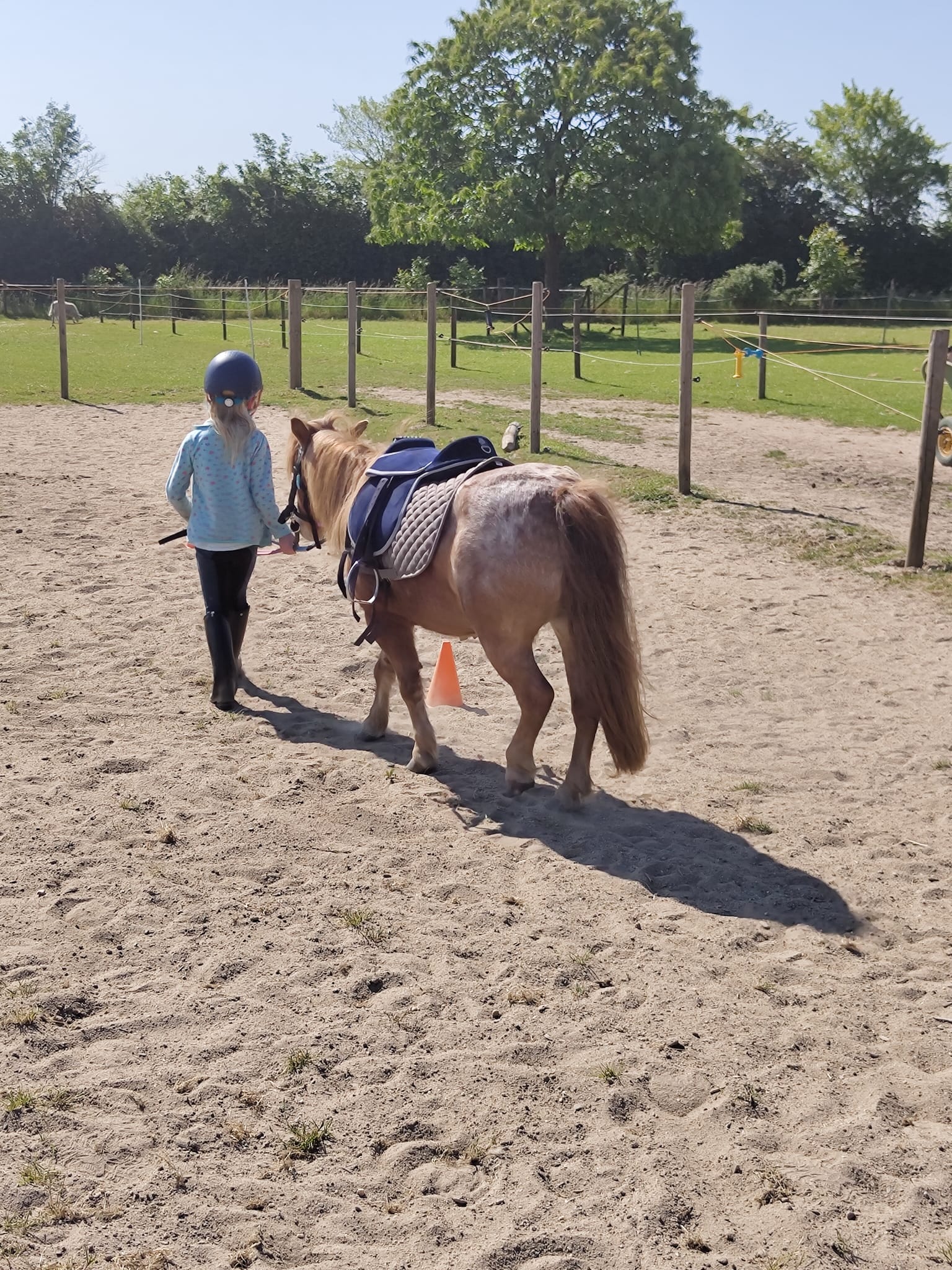 Kind mit Samba Reitpädagogik Heinsberg