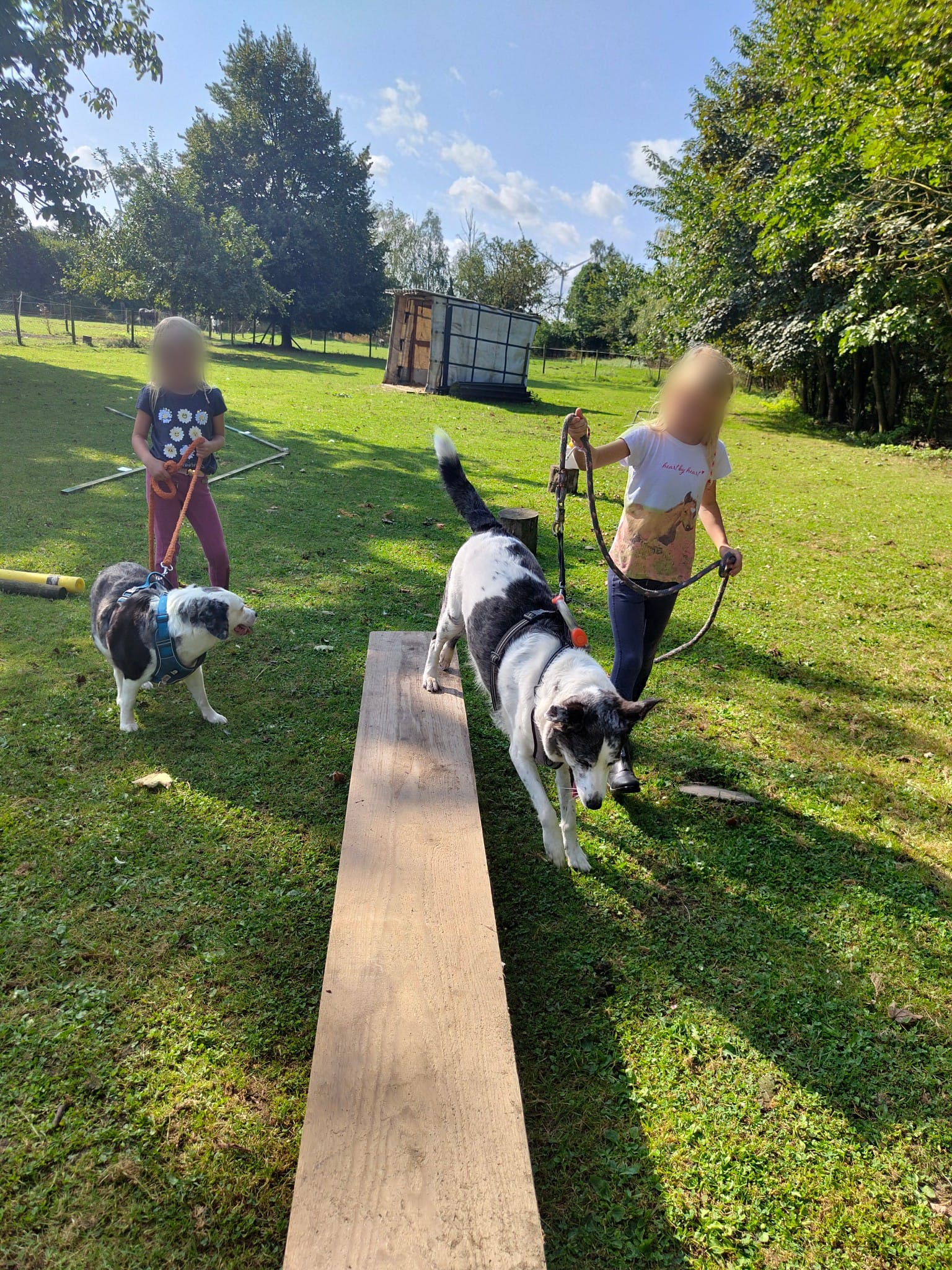 Kinder mit Hunden Maja und Dotty Reitpädagogik Heinsberg