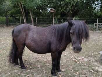 Mariechen (geb.2004)