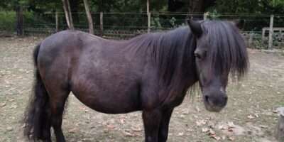 Mariechen (geb.2004)