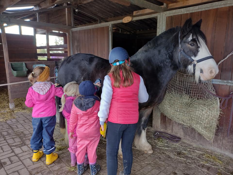 Kinder mit Pony - Reitpädagogik Heinsberg - Anke Zoch