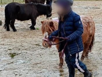 Herzlich willkommen, liebe neue Schüler!
