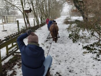 Sambas Schlittenfahrt-Winterglück in der Reitpädagogik