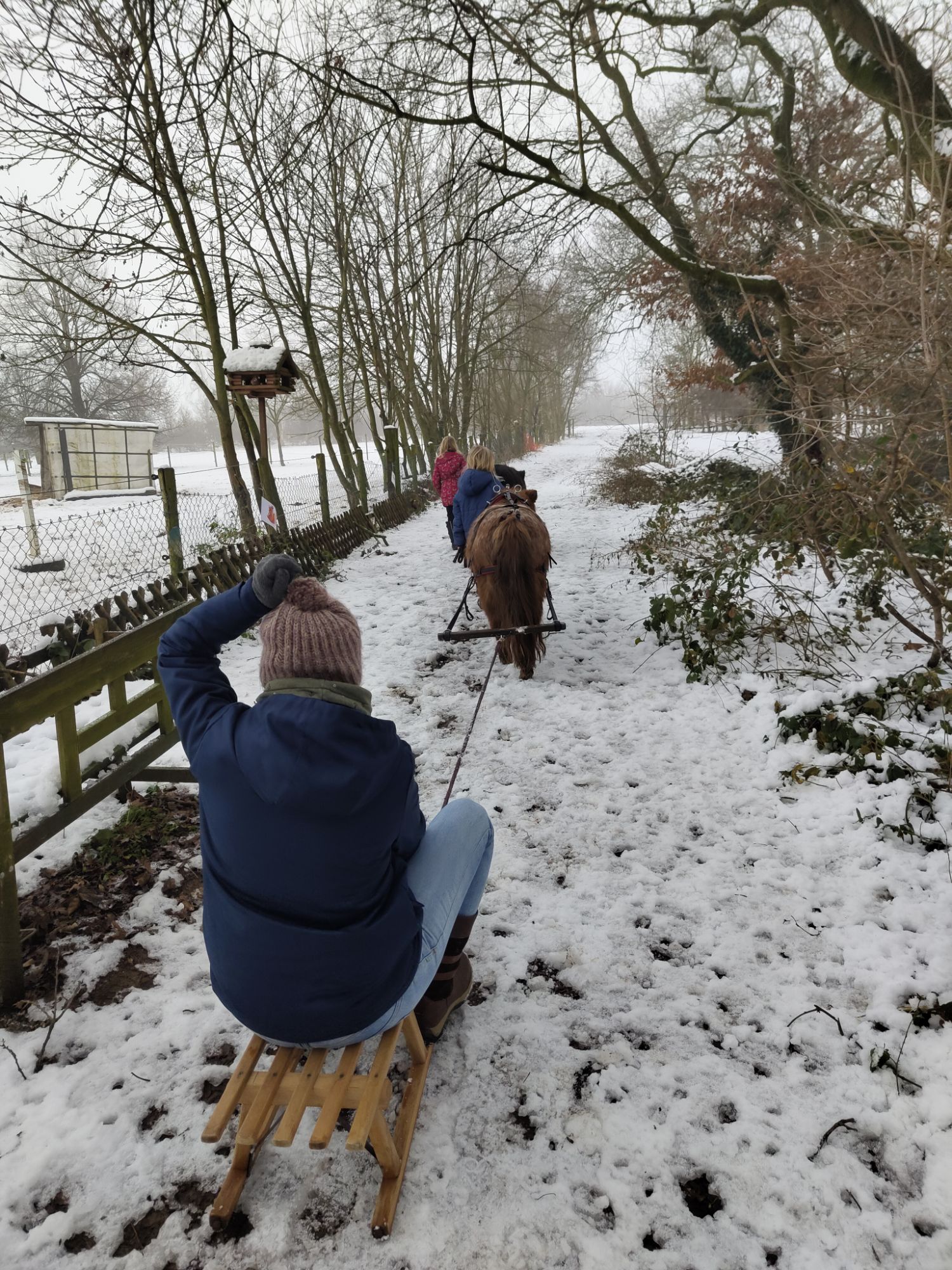 Sambas Schlittenfahrt-Winterglück in der Reitpädagogik