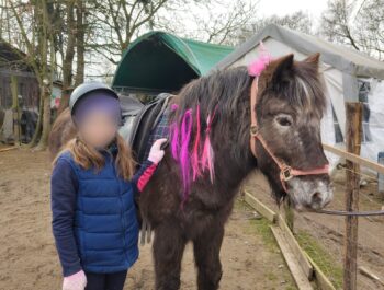 🐴 Magische Reitpädagogik – Spielerisch Lernen mit unseren Einhorn-Ponys! 🦄✨