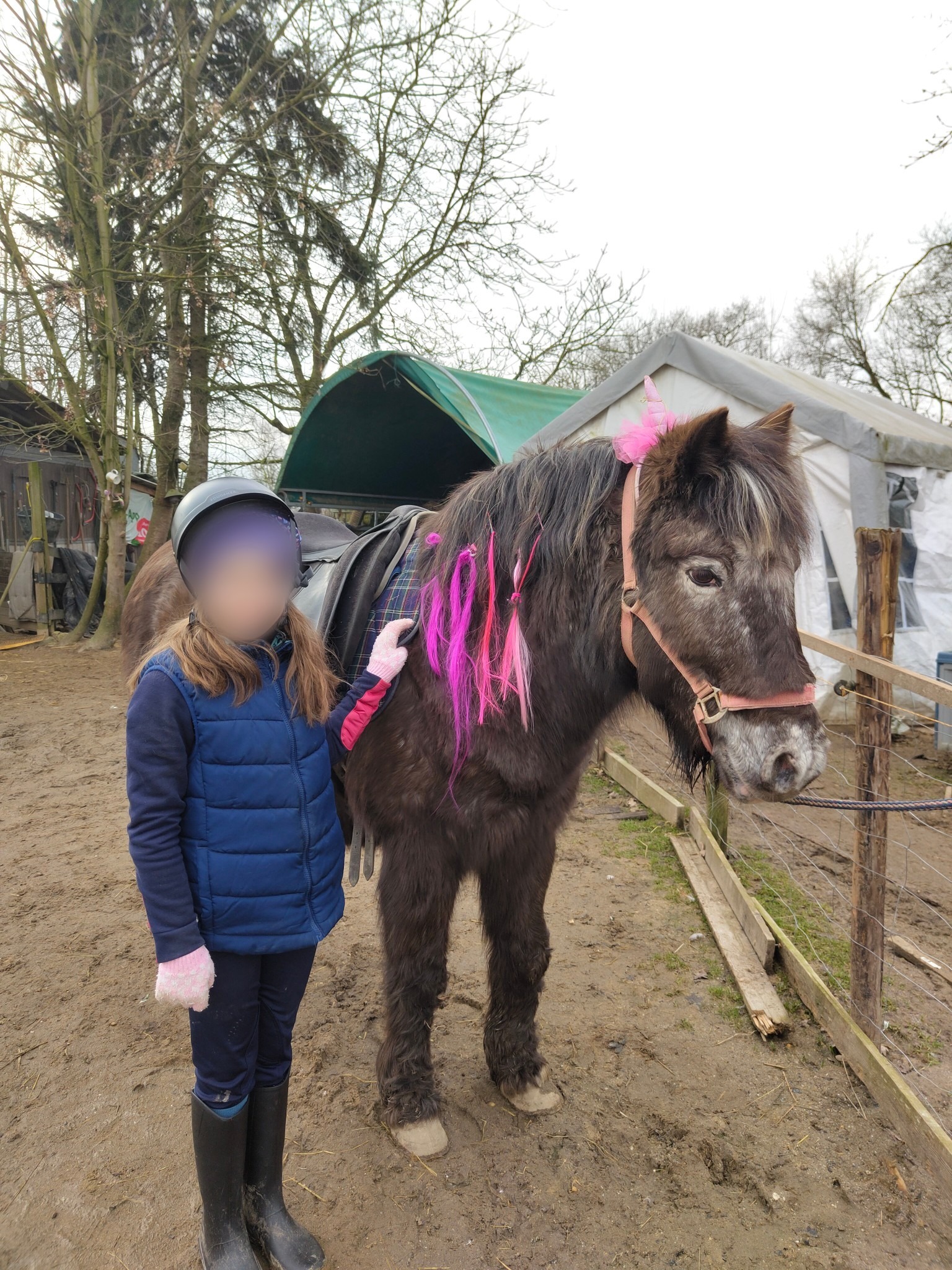 🐴 Magische Reitpädagogik – Spielerisch Lernen mit unseren Einhorn-Ponys! 🦄✨
