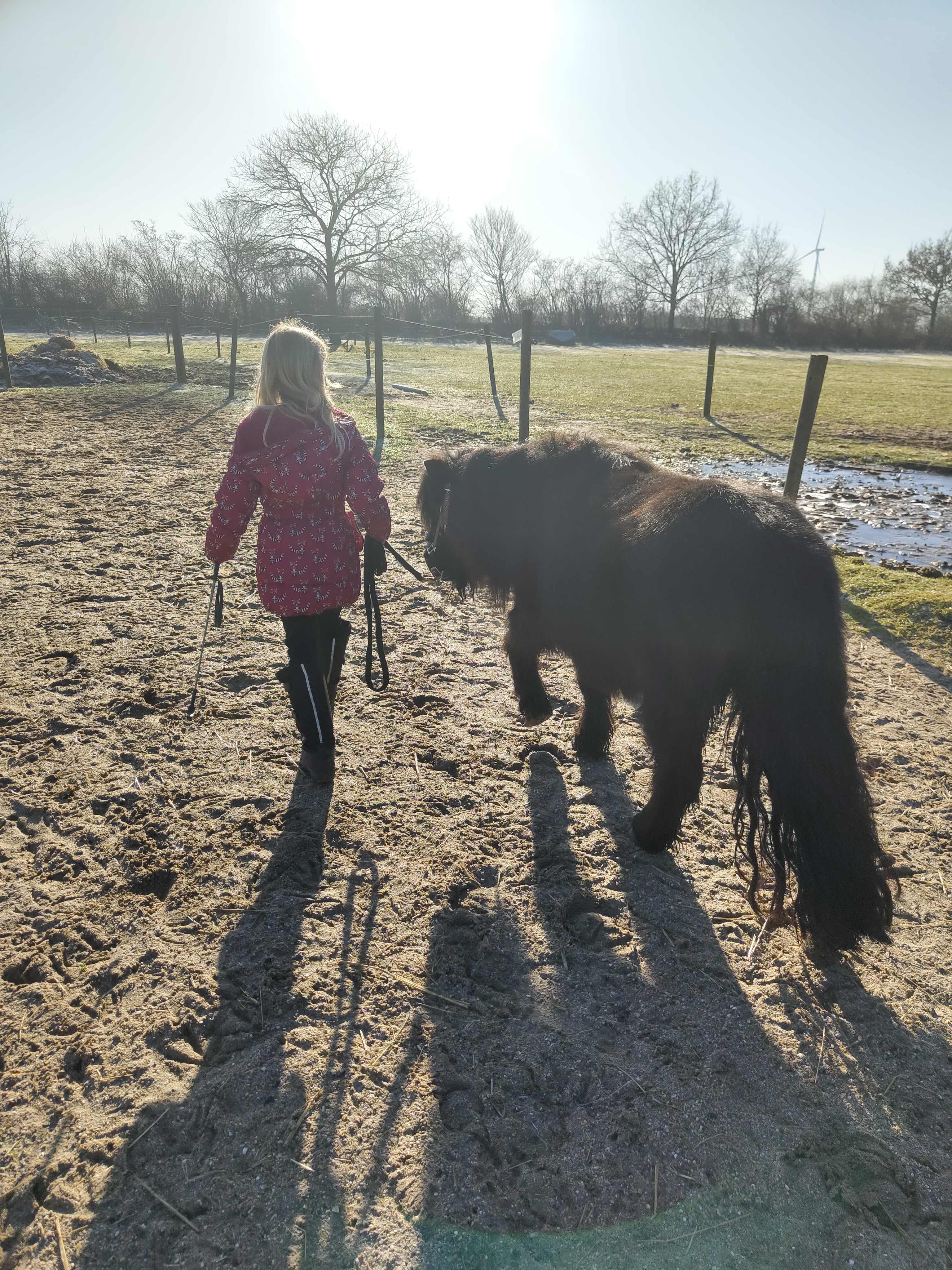 🐴✨ Einzelsitzung in der Reittherapie – Dein Moment der individuellen Förderung! ✨🐴