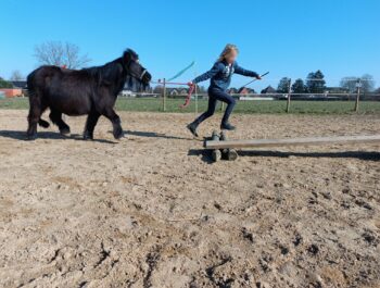Parcours