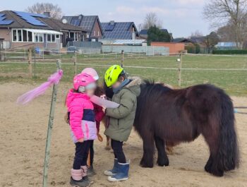 Teamwork