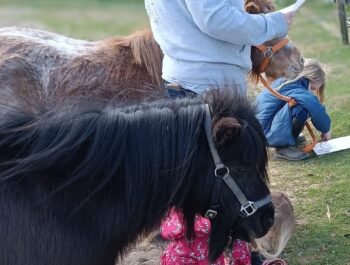 Ponyglück im Frühjahr