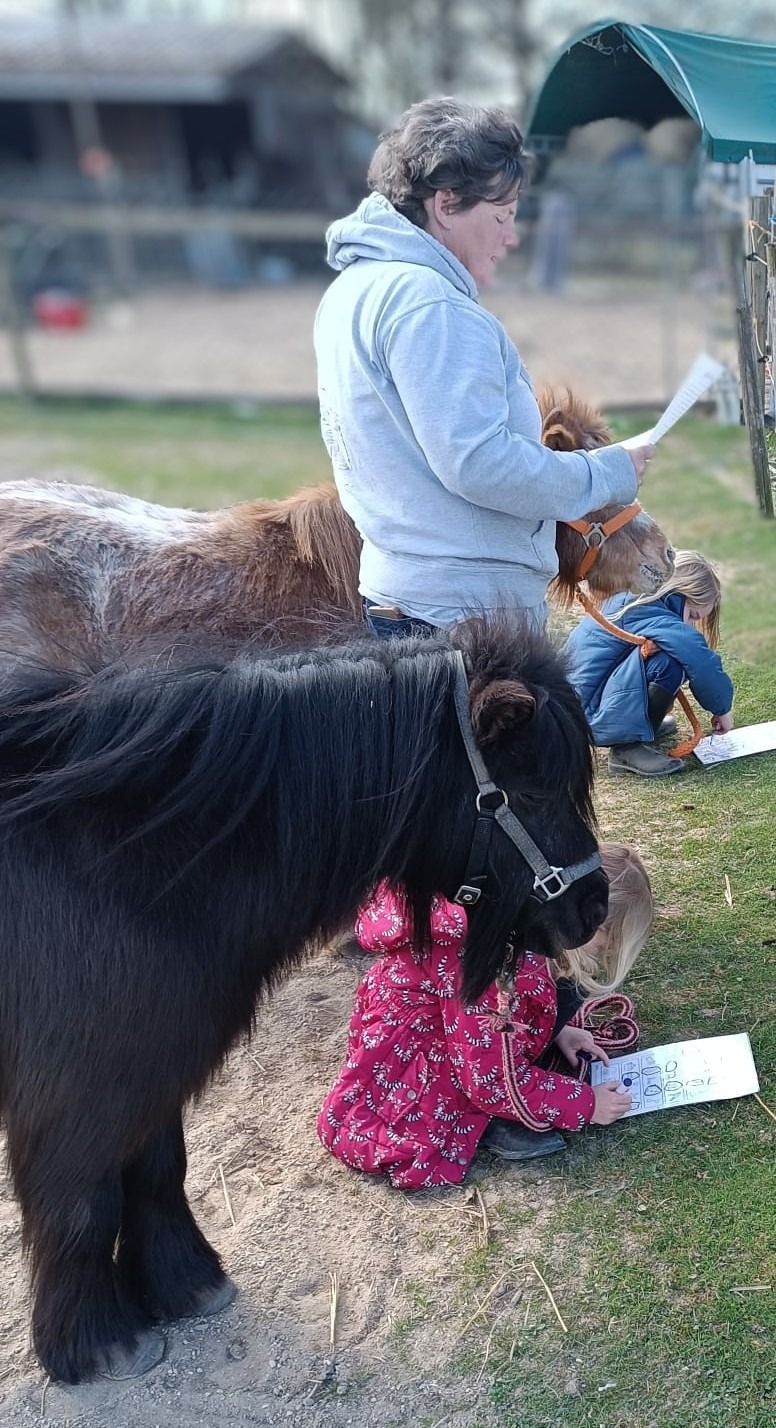 Ponyglück im Frühjahr