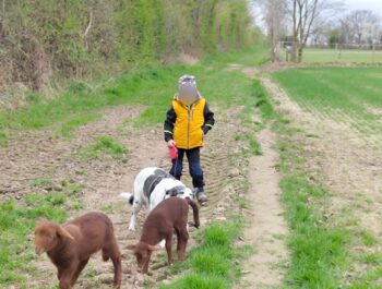 Tiergestützte Pädagogik: Entdecke die Natur mit Tierspaziergängen