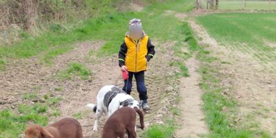 Tiergestützte Pädagogik: Entdecke die Natur mit Tierspaziergängen