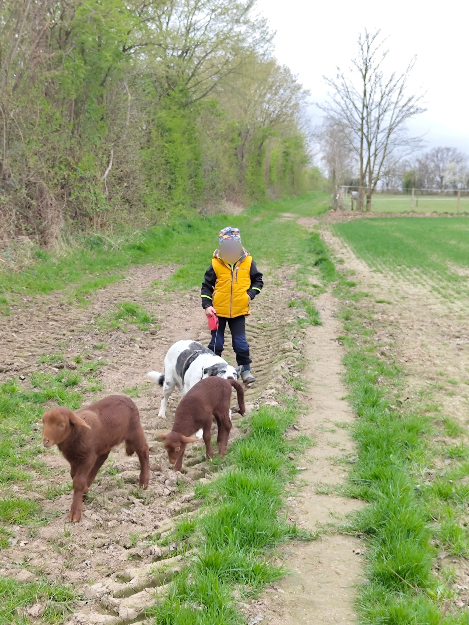 Tiergestützte Pädagogik: Entdecke die Natur mit Tierspaziergängen