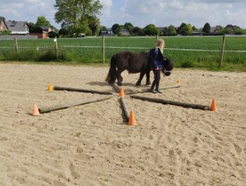 Gummitwist und Ponyspaß