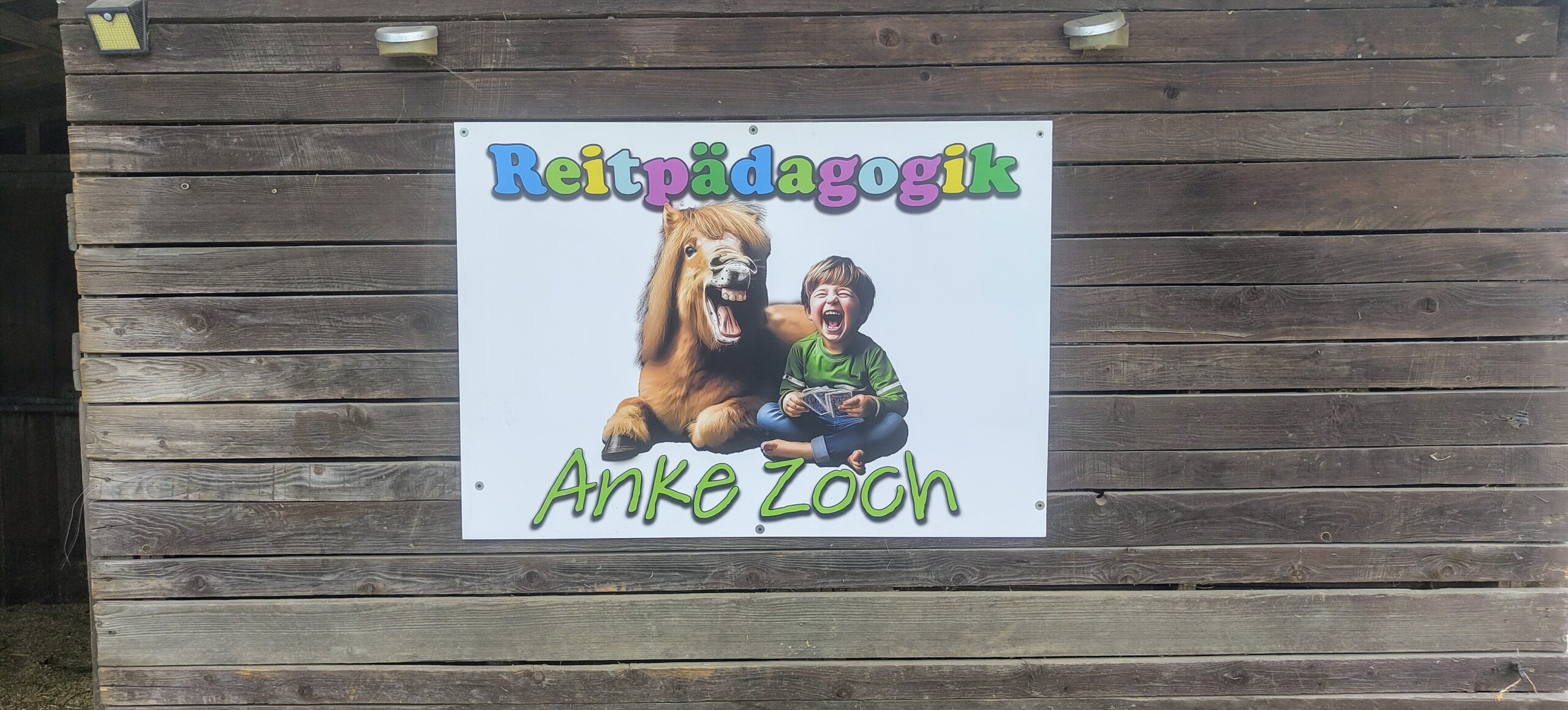 Podcastvorstellung Reitpädagogik Anke Zoch