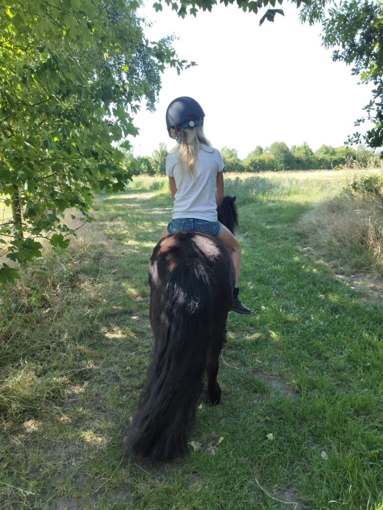 Ponyreiten im Sommer