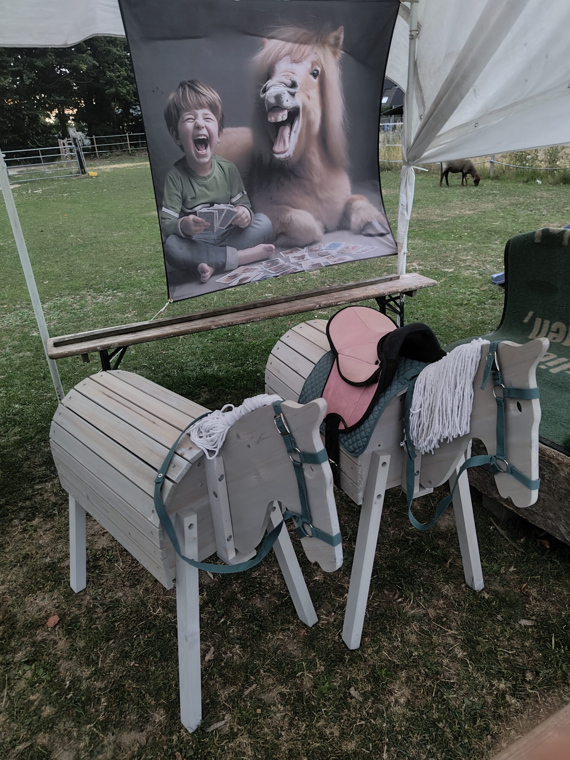 Übungspferde