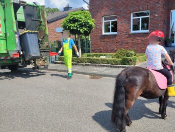 Kleines Pony-großes Herz
