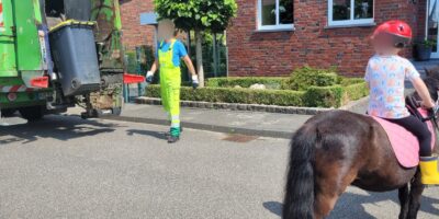 Kleines Pony-großes Herz