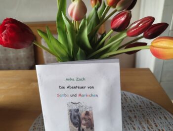 Ponygeschichten für Kinder