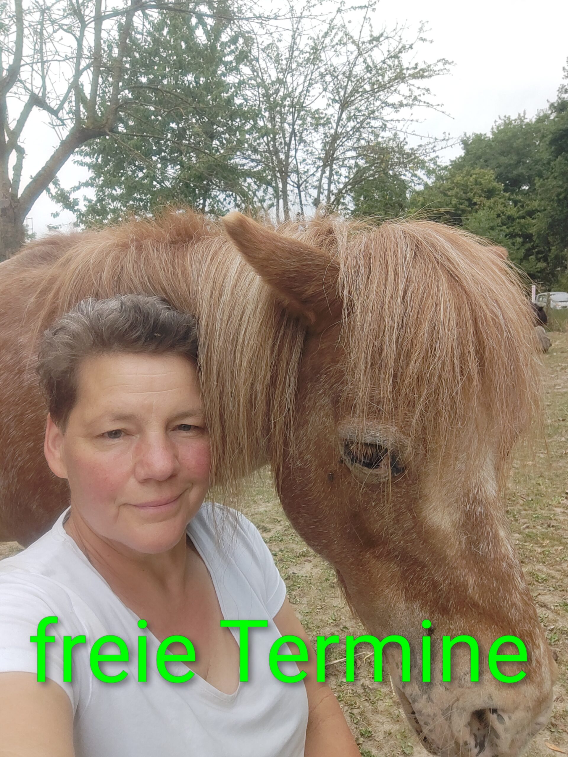 Freie Termine