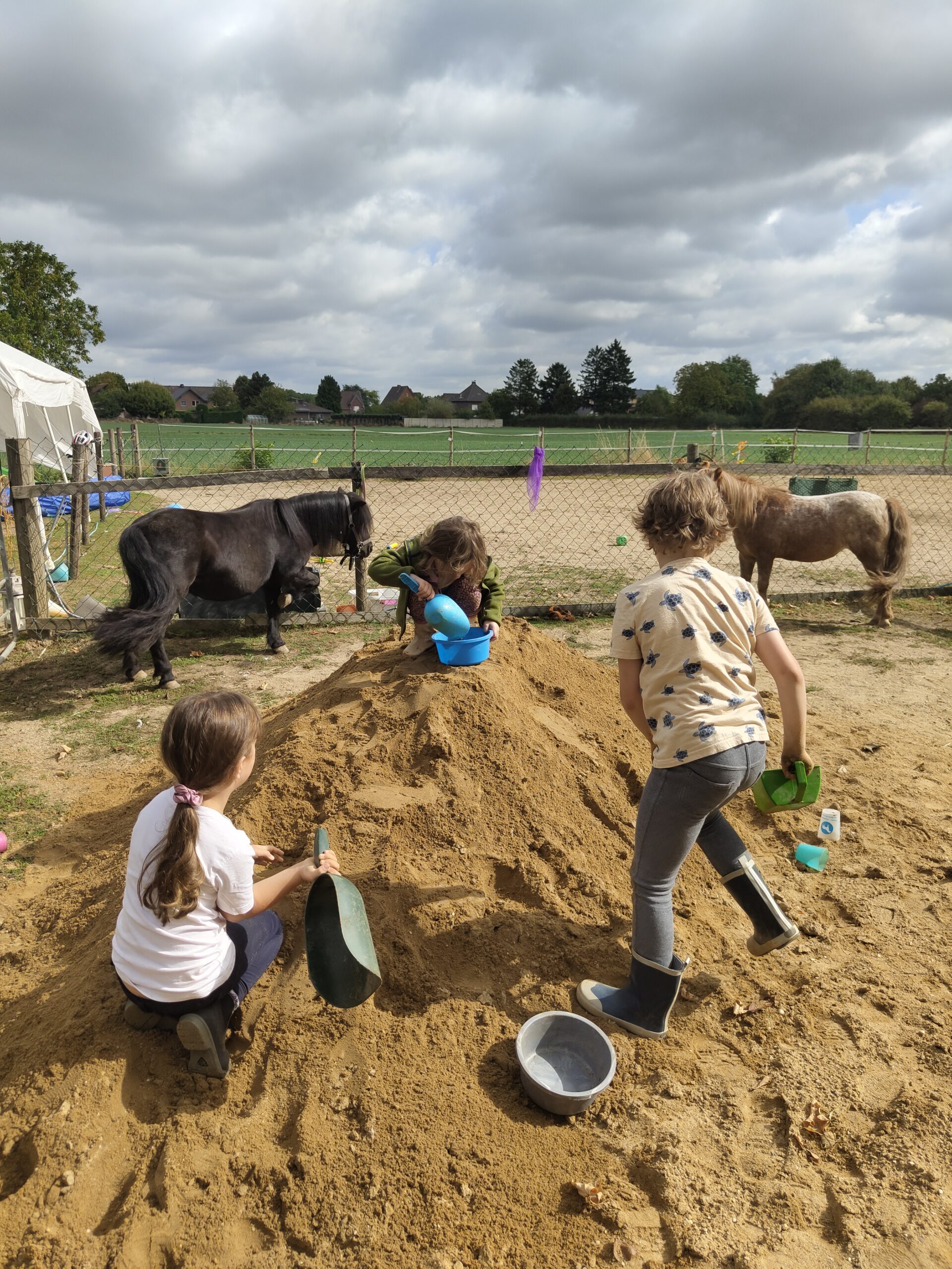 Manchmal sind die Übungen so spannend, dass das Reiten zur Nebensache wird