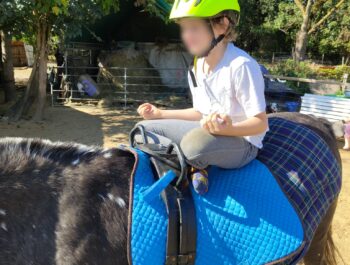 Wie Tiere Kindern Empathie beibringen