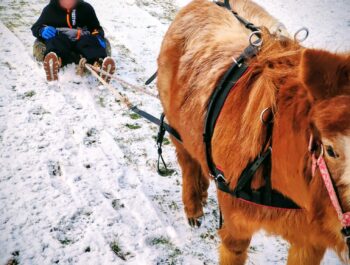 Winterzeit