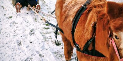 Winterzeit