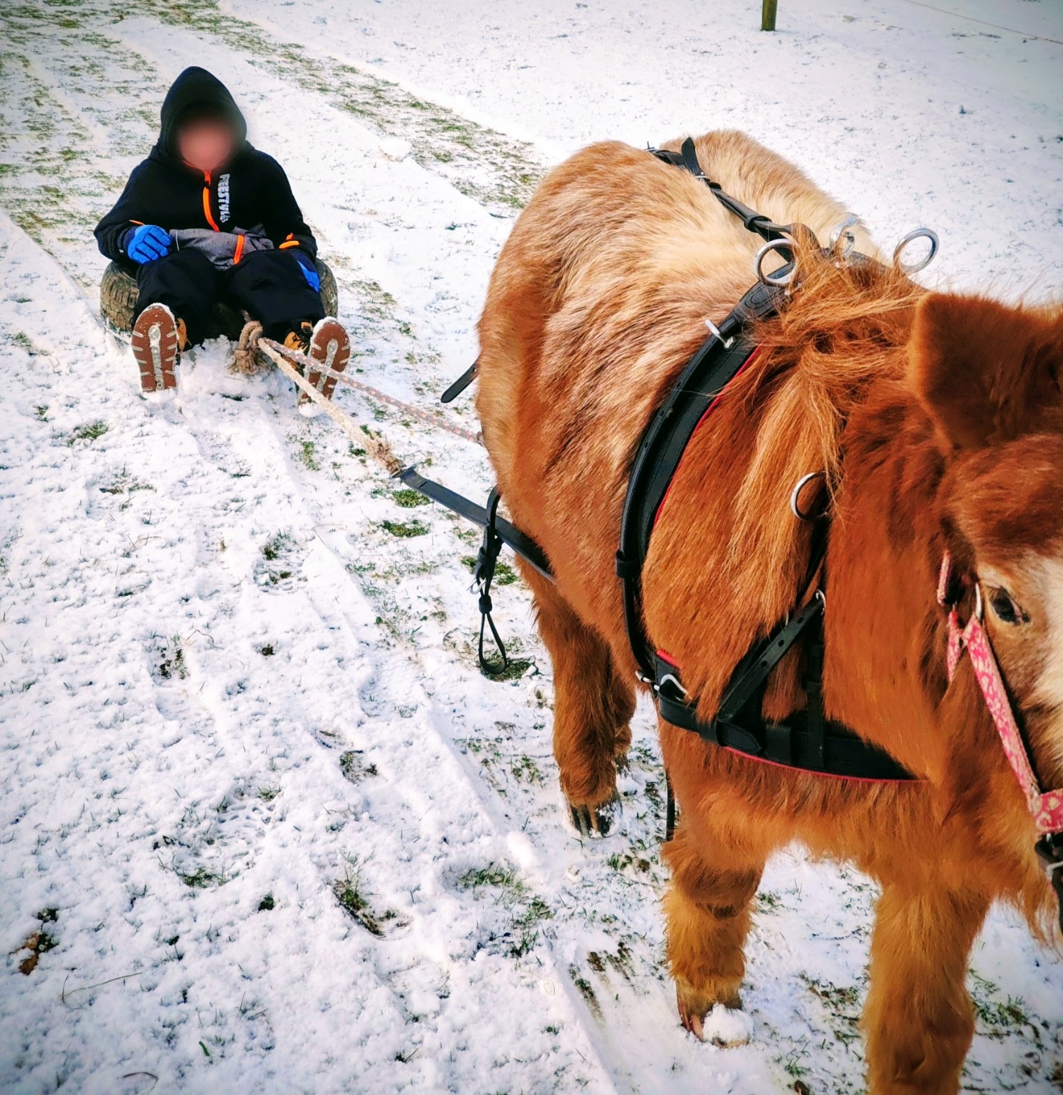 Winterzeit
