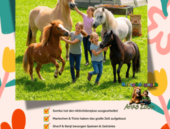 Ferienprogramm