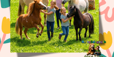 Ferienprogramm